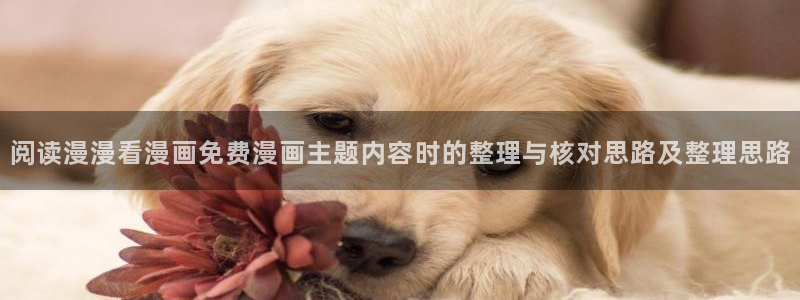 樱花日语在线词典