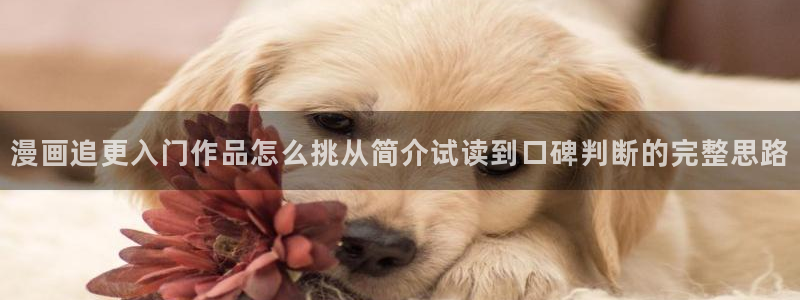 樱花日语N2