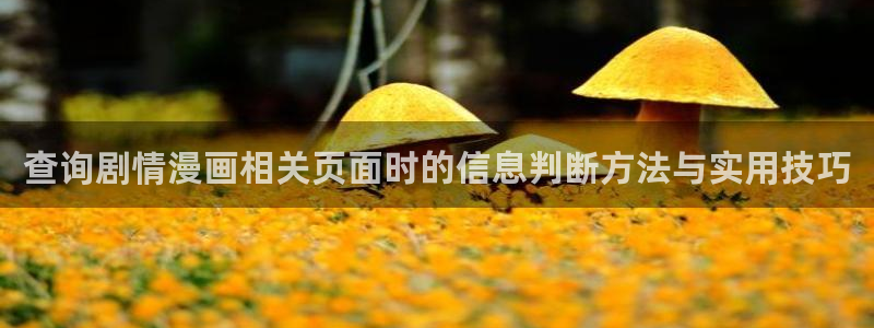 樱花日语进阶